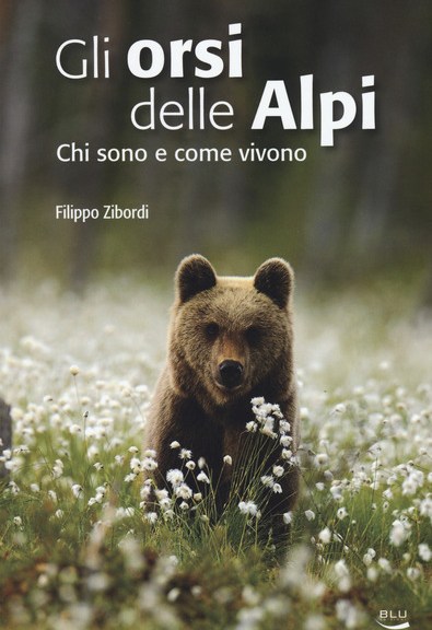 Gli orsi delle Alpi di Filippo Zibordi (Blu Edizioni)